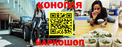 крисы Волгодонск