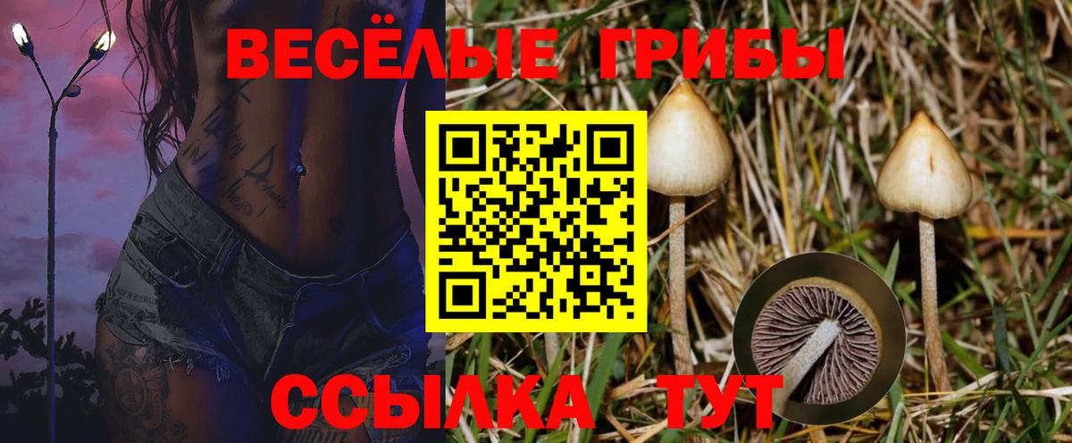Галлюциногенные грибы MAGIC MUSHROOMS Белово